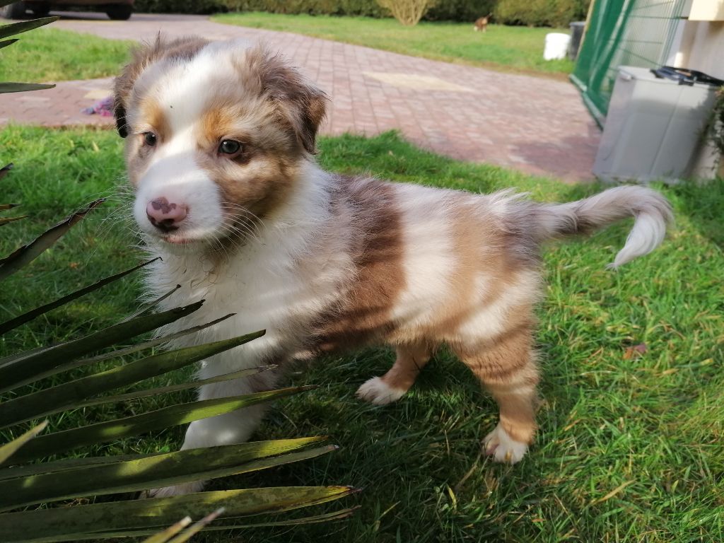 Bébés de Louna 